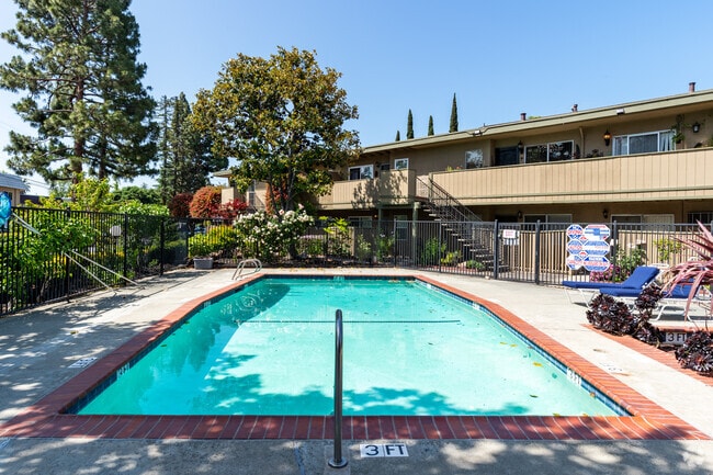 Pool - Oak Grove Apartments