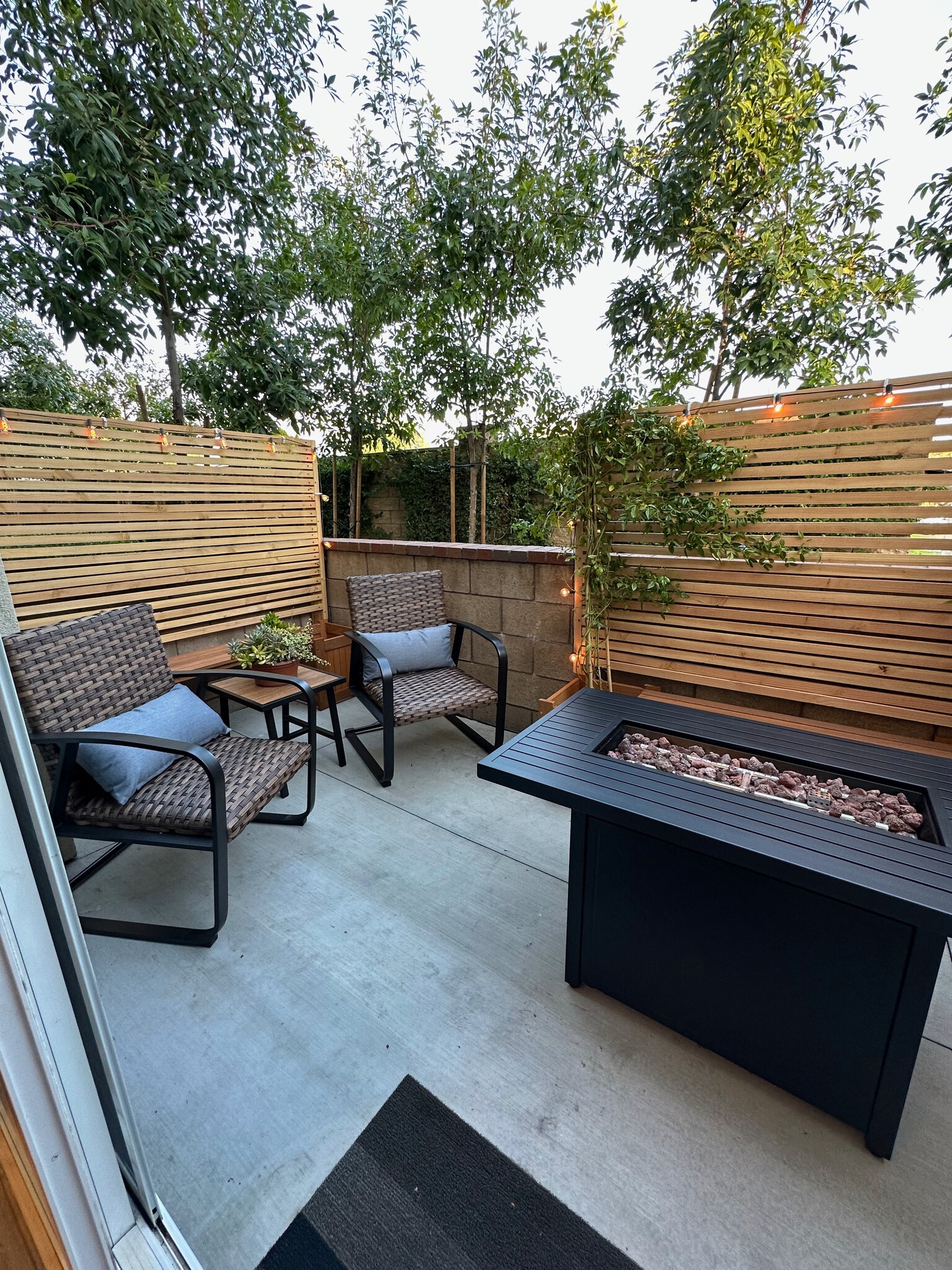 Patio - 194 Olive Ave