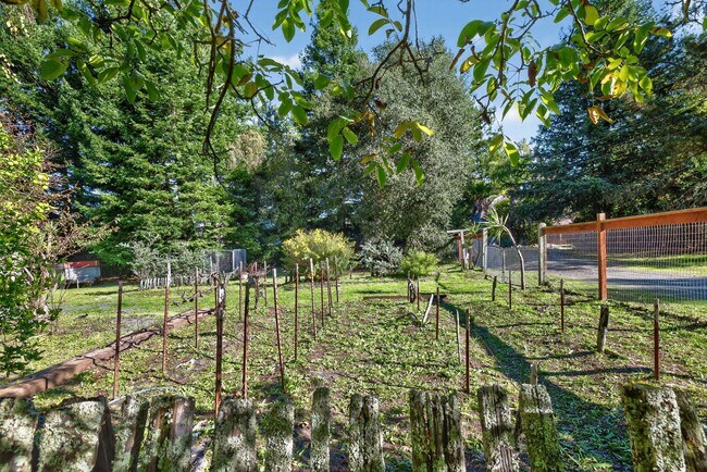 Building Photo - Charming 3-Bed / 2-Bath Retreat on Over an Acre in Sebastopol