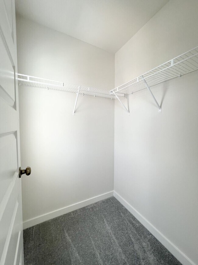 Building Photo - New Construction--Gorgeous and Move-In Ready!