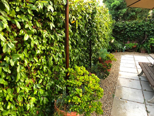 Surrounded by nature - 4360 Stewart Ave
