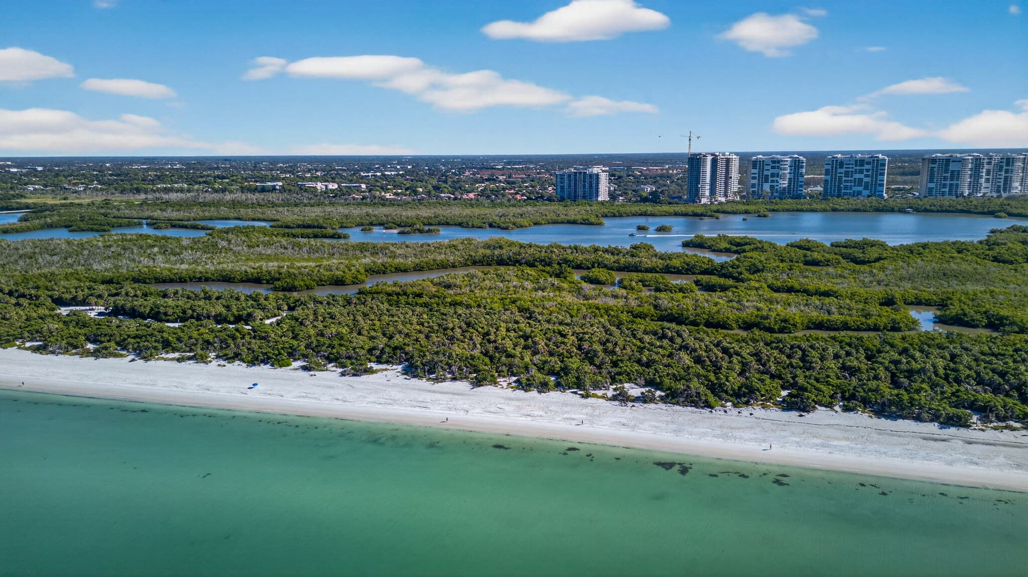 Building Photo - 1001 Arbor Lake Dr