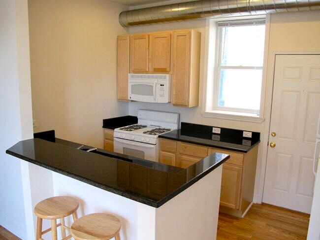 Kitchen - Apt 1R, 2R, 3R - Harris Point Chicago