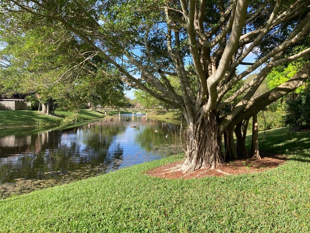 Building Photo - 2311 23rd Ln