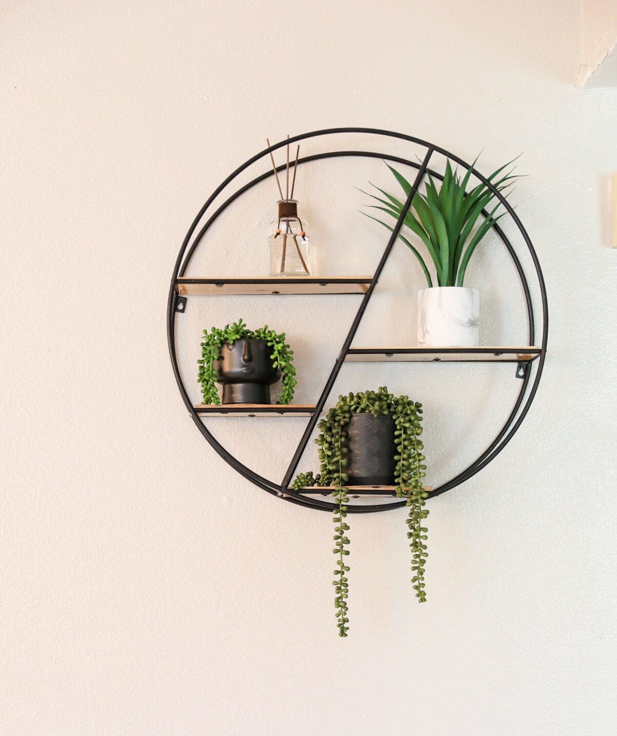 Building Photo - 8612 Echo St