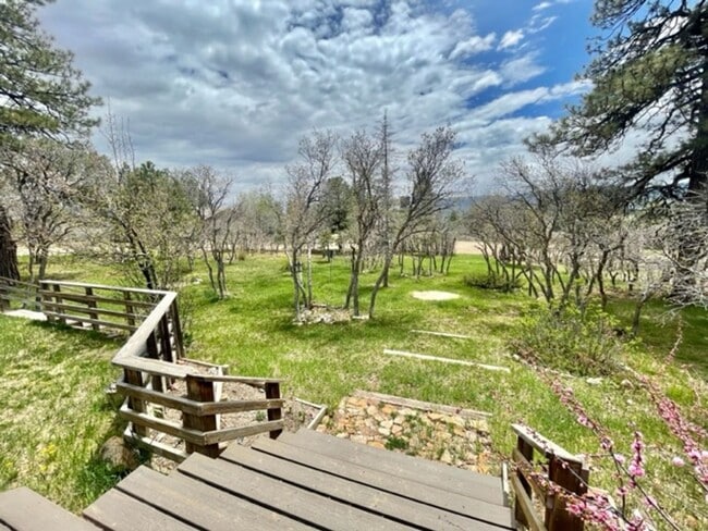 Building Photo - 539 Stevens Cir