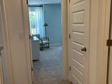 Building Photo - 1149 Windy Grove Ln