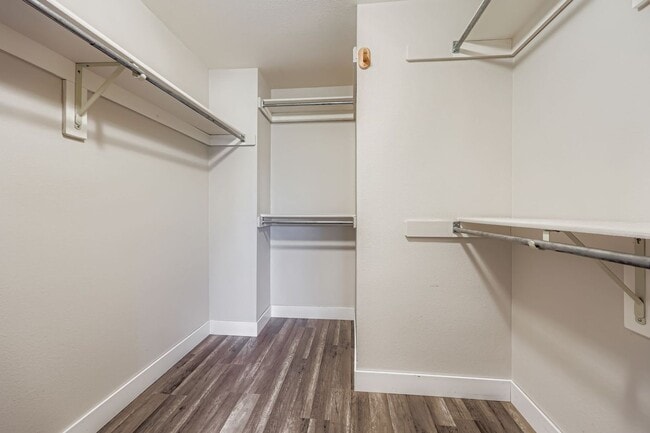 Building Photo - Beautiful 3-Bedroom Home with Open Floor P...