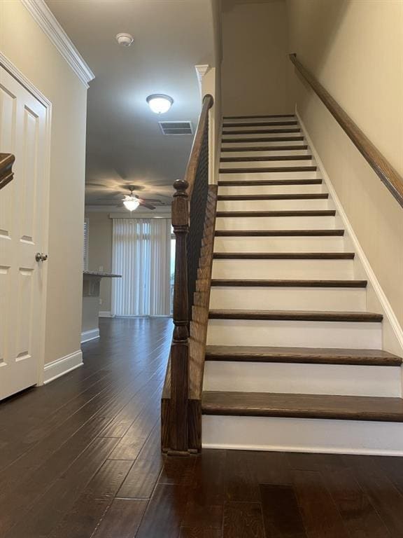 Building Photo - 4309 Tacoma Trce