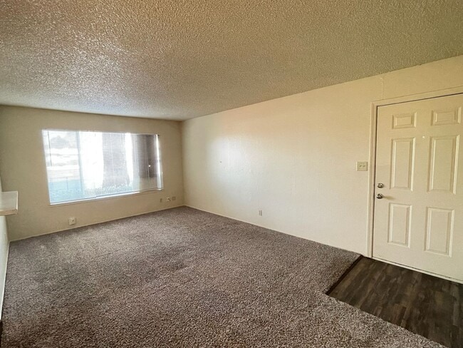 Building Photo - Downstairs 1-Bedroom Apartment, Private Patio, New Carpet & On-Site Laundry