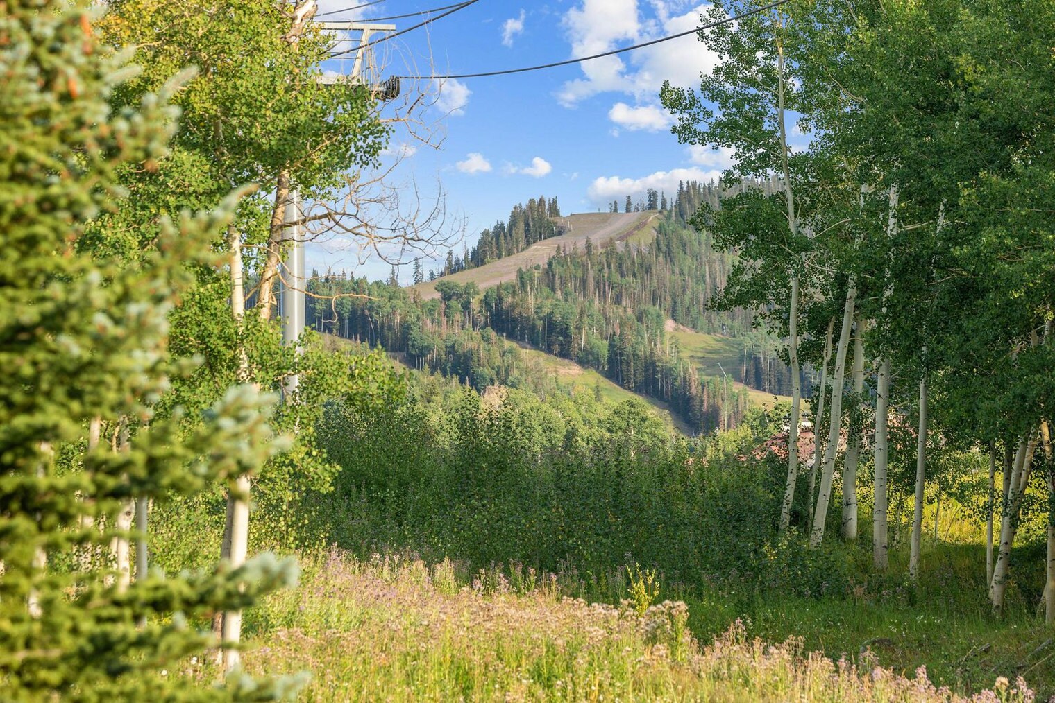 Building Photo - 404 Adams Ranch Rd