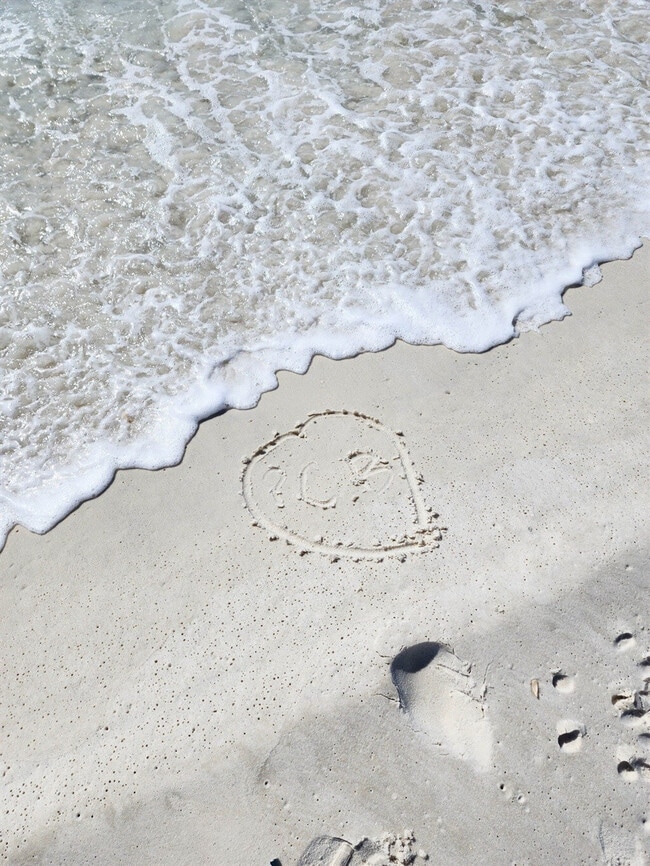 Building Photo - 102 Gulfside Ct