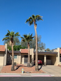 Building Photo - 5330 S Farmer Ave