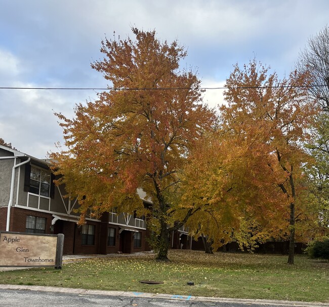 Building Photo - 1223 Apple Glen St