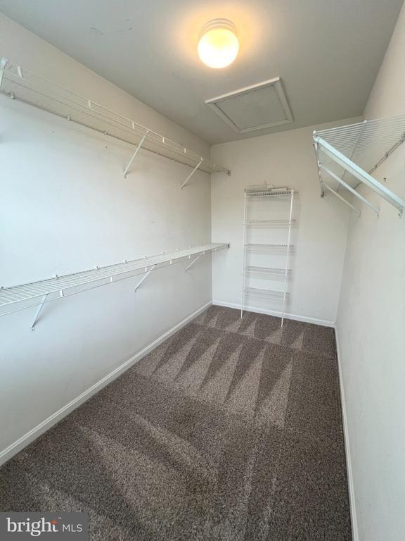 Building Photo - 22464 Maison Carree Square