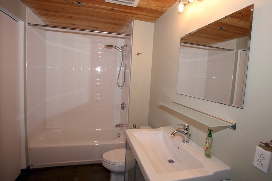 Guest Bath - 120 Holmes St