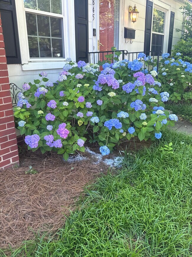 Building Photo - 845 Watson Ave