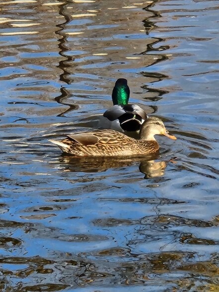 Building Photo - 710 Catskill St