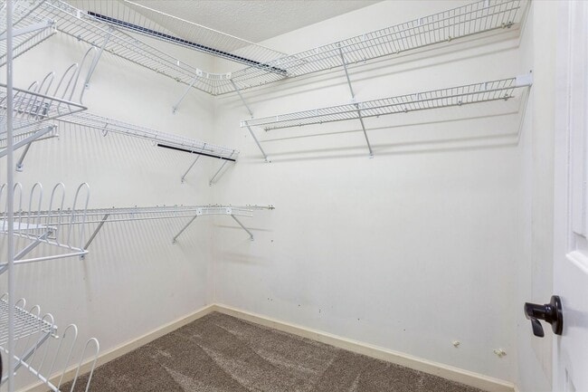 Building Photo - Quiet Coastal VA Yorktown Rental Near Bases