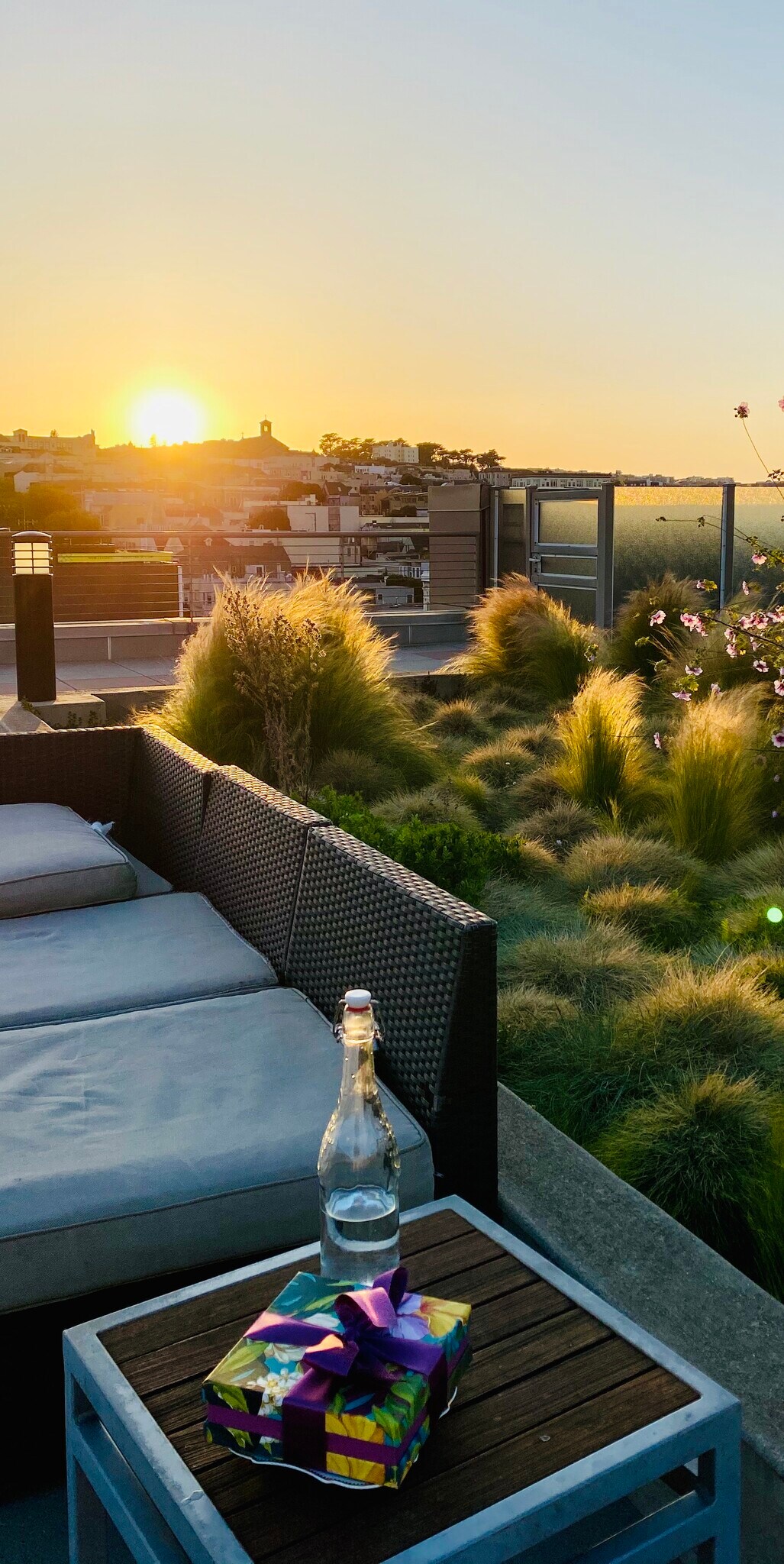 Rooftop sunset - 55 Page St
