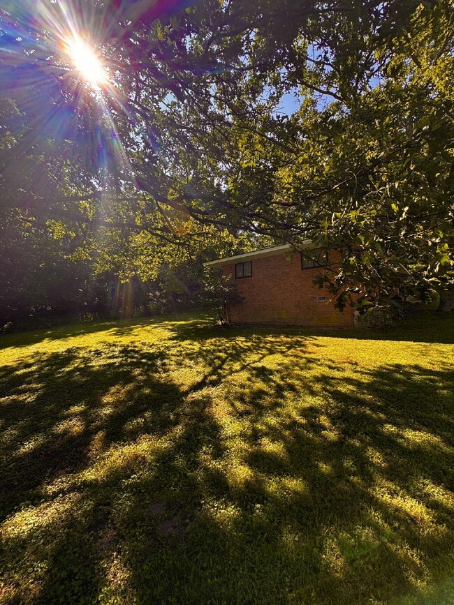 Building Photo - 9108 Bluff Dr