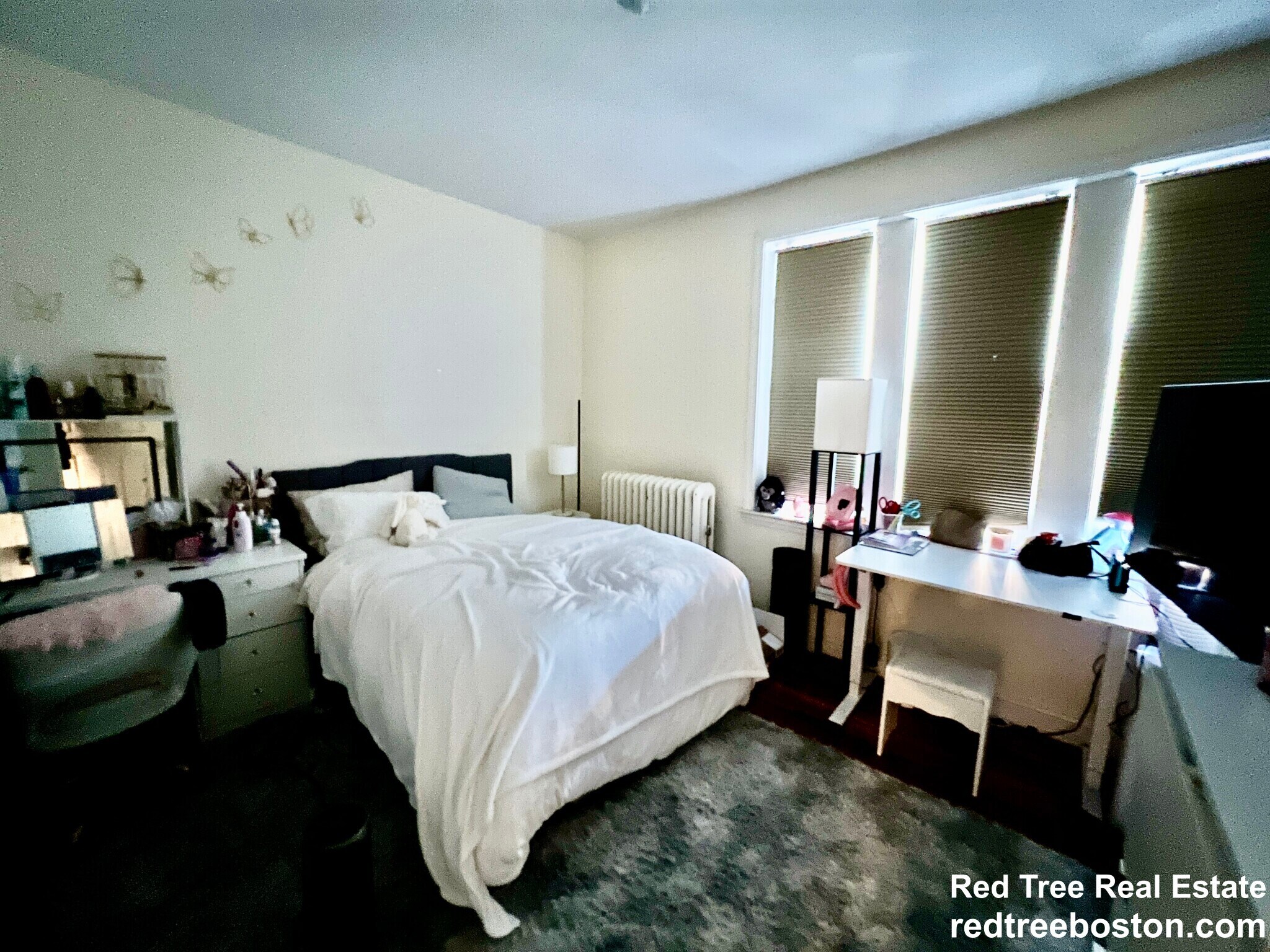 Building Photo - 62 Egmont St