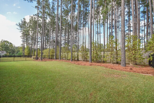 Building Photo - 67 Timber Skip Dr