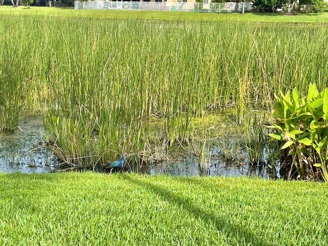 Building Photo - 9656 Cobblestone Creek Dr