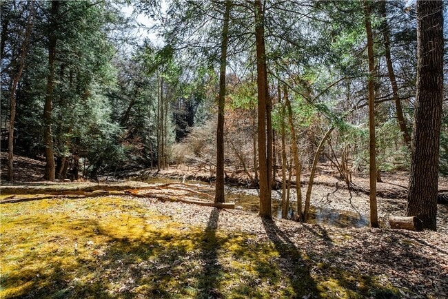 Building Photo - 126 Green Forest Dr