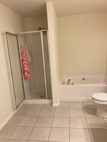 Owners bath- soaking tub and stand alone shower - 1684 Northgate Mill Dr