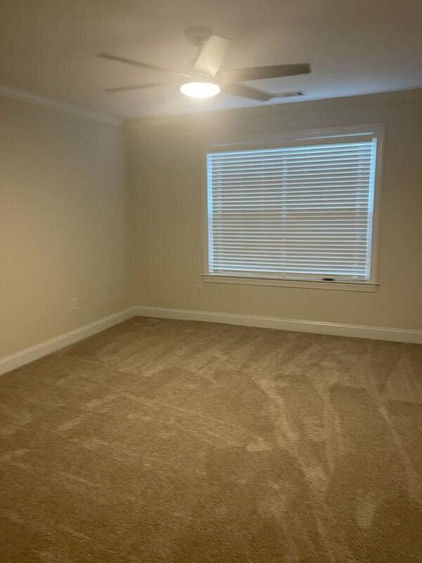 Building Photo - 815 Mayo Ln