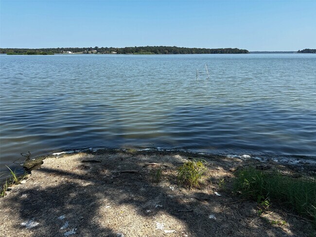 Building Photo - 377 Burke St