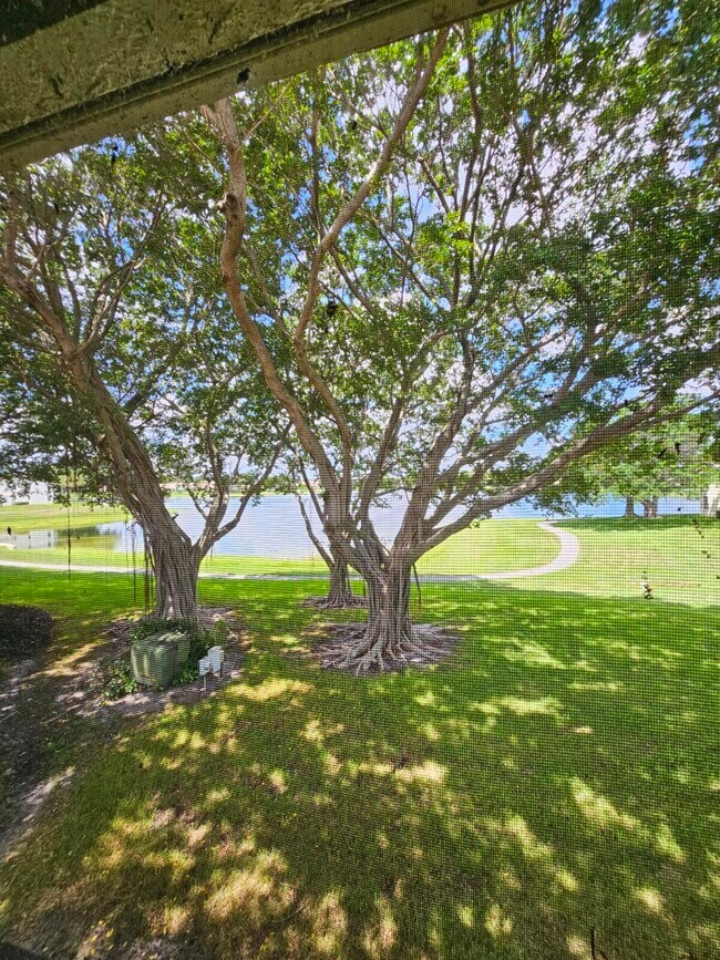 Building Photo - 2950 Olivewood Terrace