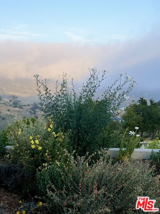 Building Photo - 31415 Anacapa View Dr