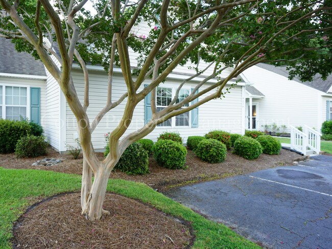 Primary Photo - 4604 Song Sparrow Ct