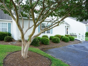Building Photo - 2BR/2BA- Townhome in Wilmington near Monke...