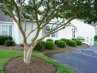 Building Photo - 4604 Song Sparrow Ct
