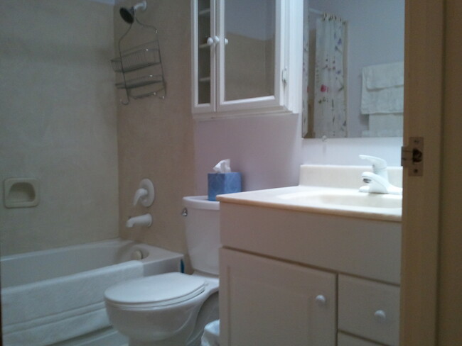 Bath tub/shower - 1470 Creekside Dr