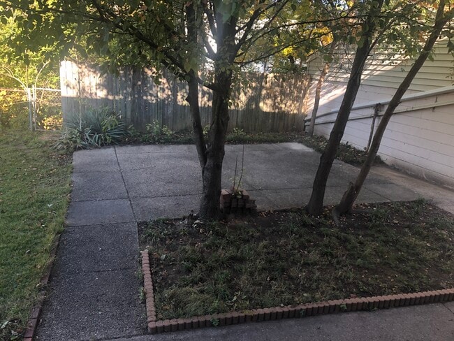 Backyard - 2209 Gerald Ct
