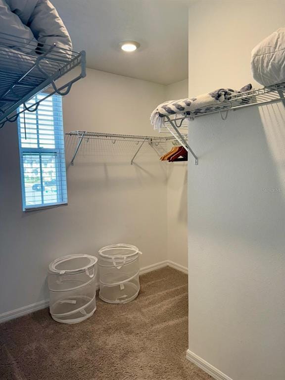 Building Photo - 803 Longboat Dr