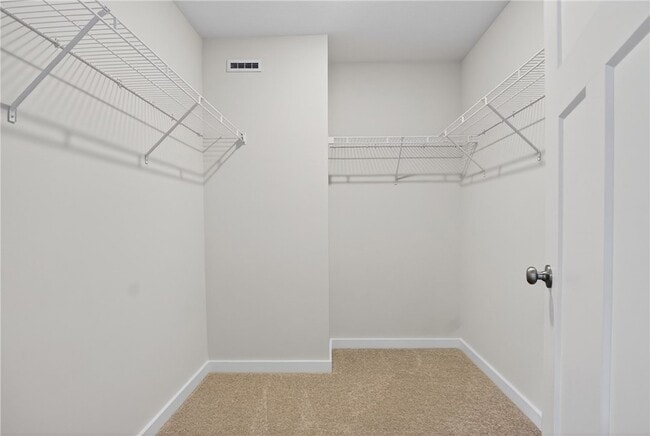 Building Photo - 704 Olivia St