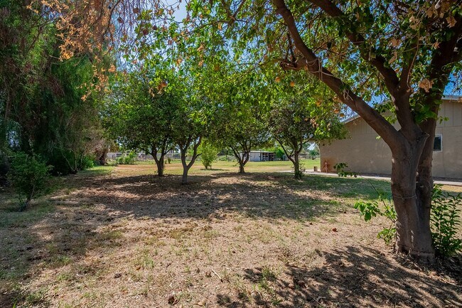 Building Photo - Acreage Property for Rent!!