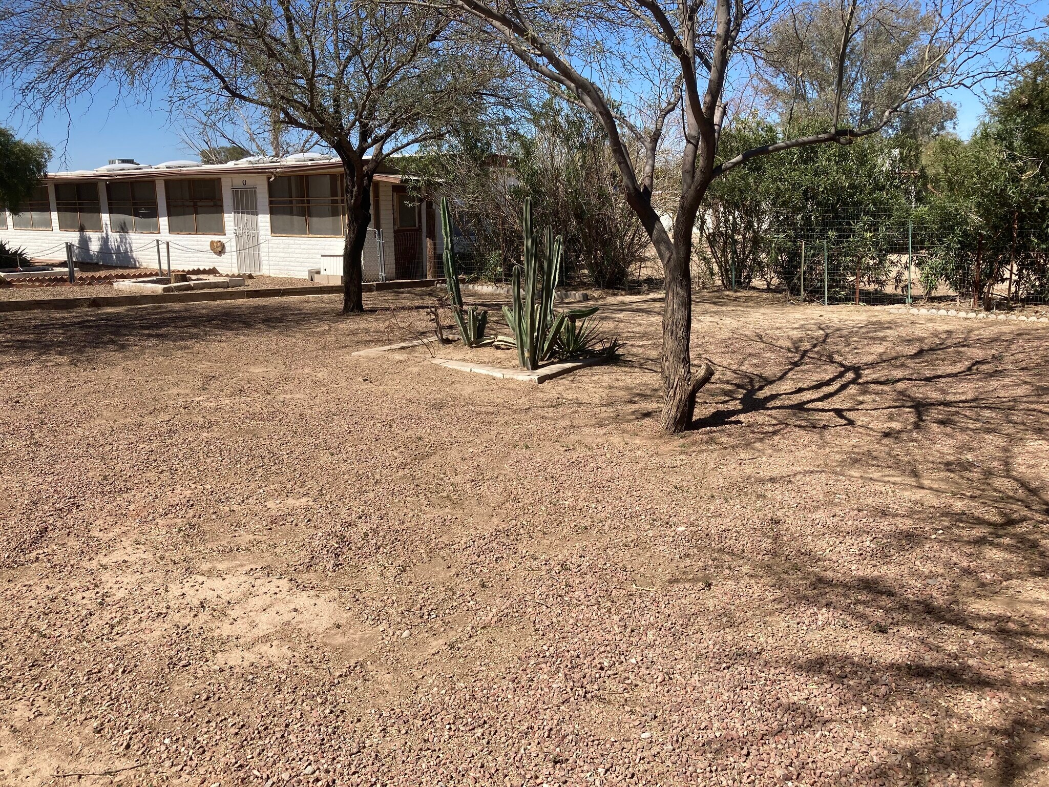 front yard - 5400 W Calle Cayeus