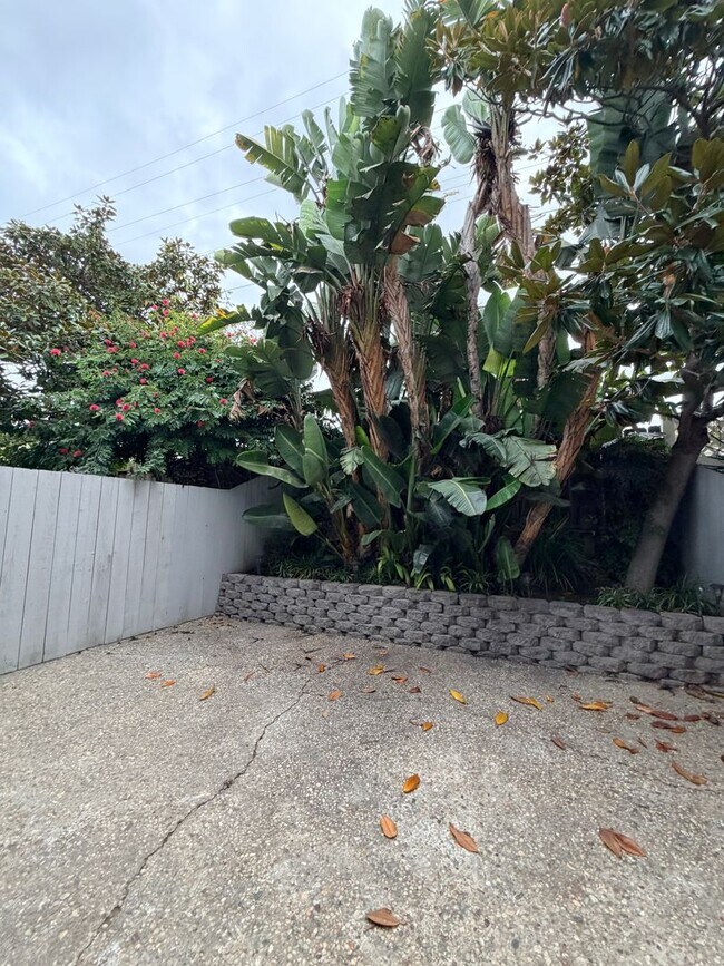 Building Photo - 33938 Alcazar Dr