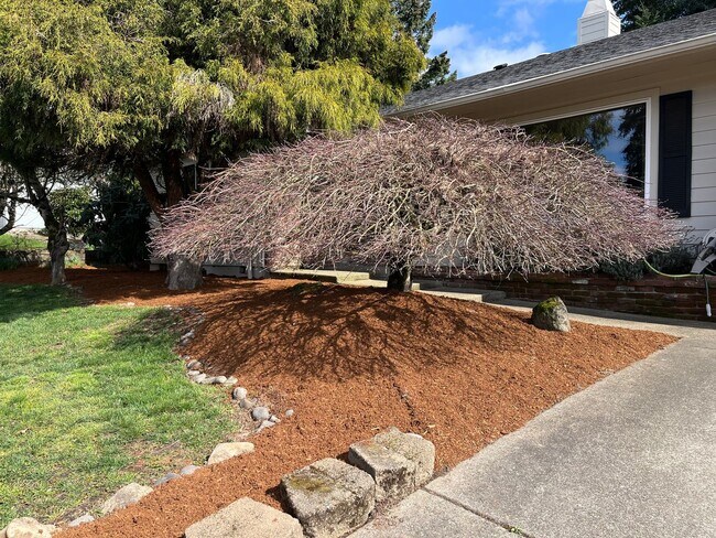 Building Photo - Beautiful One-Level Home with Sunroom, Vaulted Ceilings & Multiple Living Areas