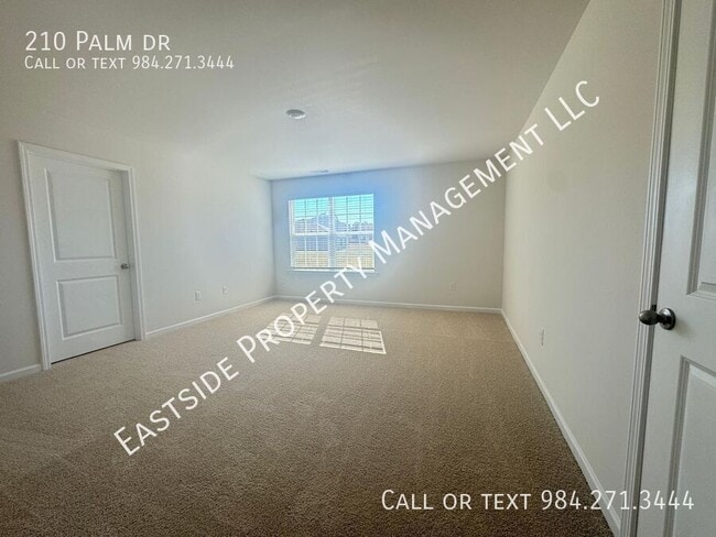 Building Photo - 210 Palm Dr