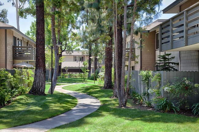 Building Photo - Timbers Apartments, El Toro