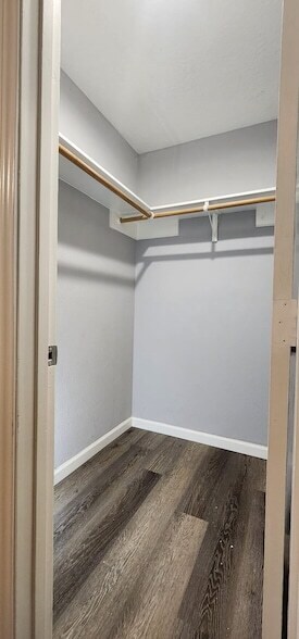 Building Photo - 23431 Dew Wood Ln