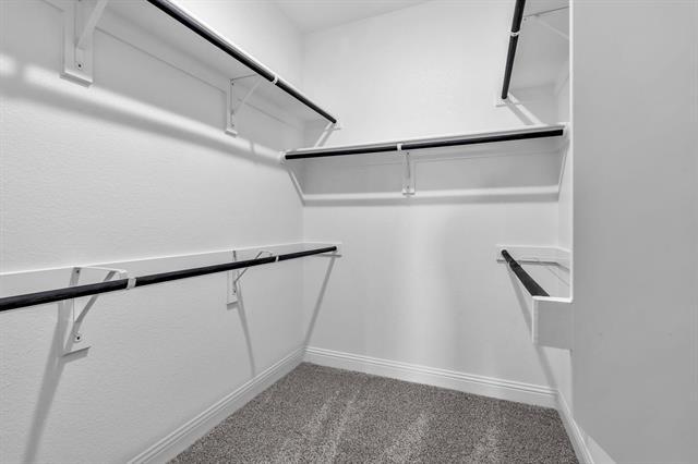 Building Photo - 801 Amenduni Ln