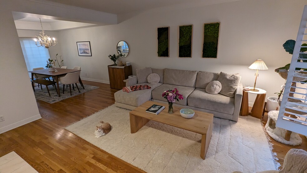 Living Room - 1144 Yale St